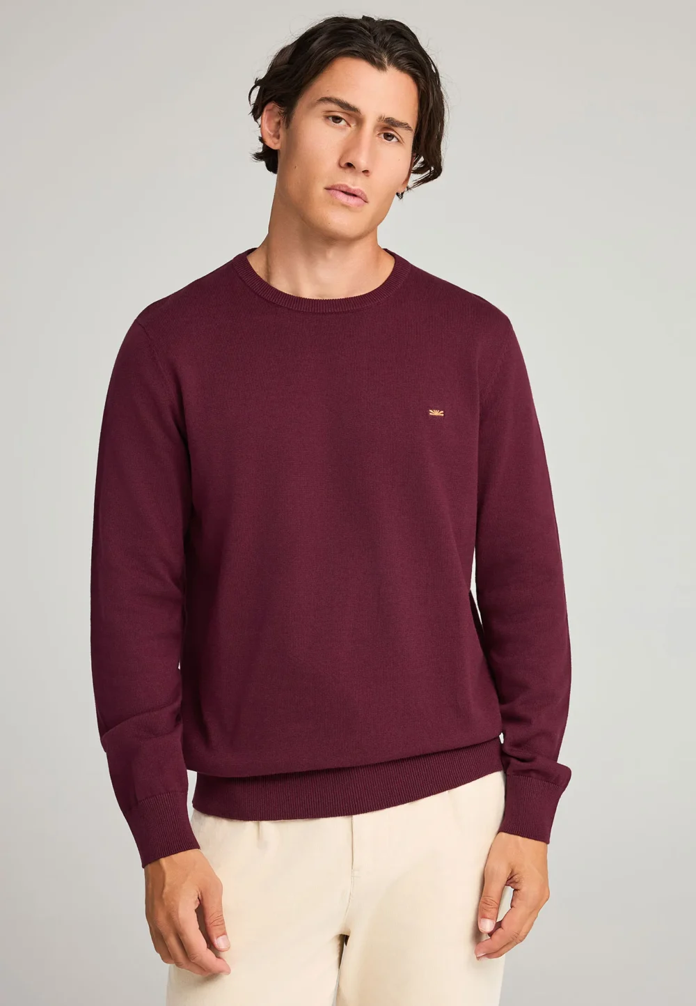 Ανδρικό Πλεκτό με Λαιμόκοψη- MERLOT MEL